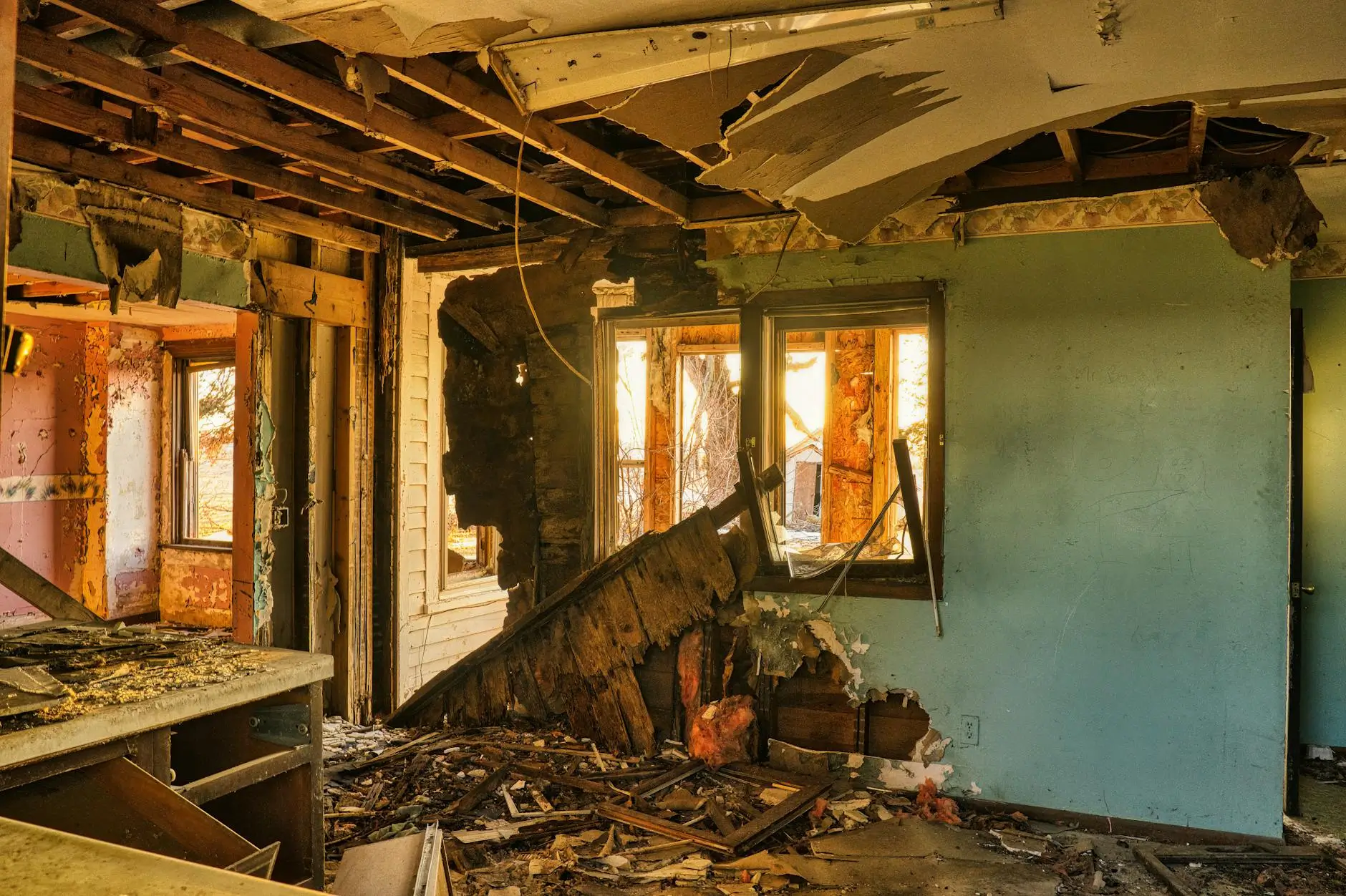 Plano's Trusted Mold Inspection & Removal Experts — Plano, TX